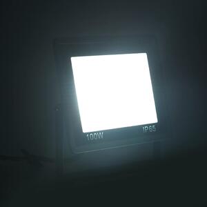 VidaXL LED reflektor 100 W hladni bijeli