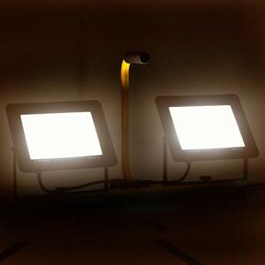 VidaXL LED reflektor s ručkom 2 x 100 W topli bijeli