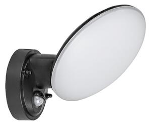 Rabalux 8135 - LED Vanjska zidna svjetiljka senzor VARNA LED/12W/230V IP54
