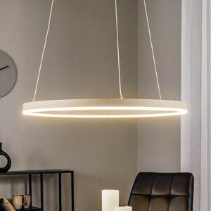 Arcchio Albiona LED viseća svjetiljka, bež, 1 prsten, Ø 60 cm, prigušiva, Bež, Kuhinja, Metal