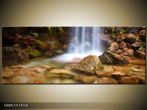 Moderna slika F000572F14558 (Jednodjelna 145x58 cm)