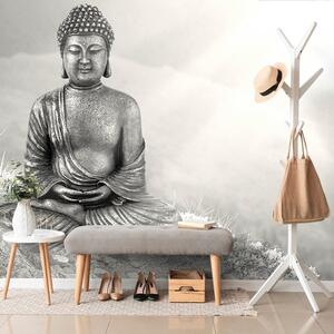 Tapeta crno-bijeli Buddha u meditacijskom položaju