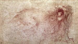 Reprodukcija Sketch of a roaring lion, Leonardo da Vinci