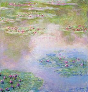 Reprodukcija Nymphéas (1907), Claude Monet