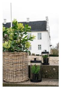 Umjetna biljka Skimmia - House Nordic