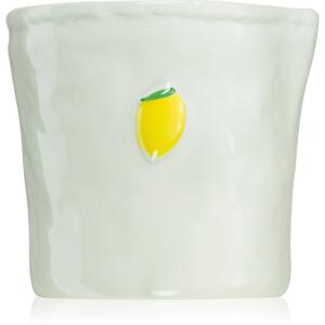 Paddywax Bistro Meyer Lemon mirisna svijeća 226 g