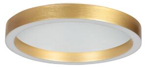 Steinhauer Ringlux LED stropna svjetiljka, zlatne boje, Ø 30 cm, metalna, 2700 K, prigušiva, Zlato / mjed, Dnevni boravak/blagovaonica, Metal