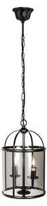 Steinhauer Viseća svjetiljka Pimpernel, Ø 23 cm, crna, dimljeno-sivo staklo, prigušiva, Crno, Područje hodnika, Metal