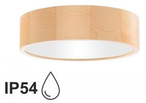 Stropna svjetiljka za kupaonicu CLEO 2xE27/24W/230V IP54 pr. 27,5 cm bor