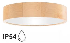 Stropna svjetiljka za kupaonicu CLEO 3xE27/24W/230V IP54 pr. 37,5 cm bor