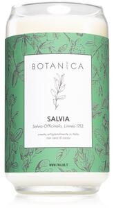 FraLab Botanica Salvia mirisna svijeća 390 g