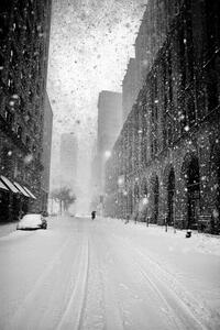 Fotografija New York Walker in Blizzard, Martin Froyda