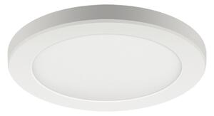STROPNA SVJETILJKA OLGA LED C 24W BIJELA CCT