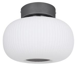 Globo 15437D - LED Stropna svjetiljka BOOMER LED/12W/230V