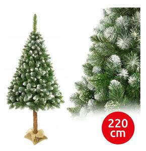 Božićno drvce na deblu 220 cm bor