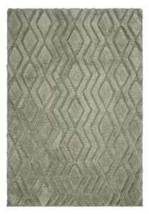 Zeleni tepih 170x120 cm Harrison - Asiatic Carpets