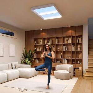 Philips SKYLIGHT LED stropna svjetiljka, 65 x 45 cm, bijela, CCT IP44, prigušiva, Bijela, Dnevni boravak/blagovaonica, Plastika