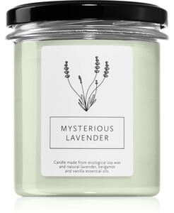 Hagi Mysterious Lavender mirisna svijeća 230 g