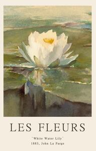 Reprodukcija White Water Lily (Les Fleurs / The Flower Collection)