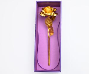 Vječna ruža sa zlatnom peteljkom SIF, žuta