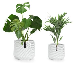 Fox & Fern Heusden, set od 2 cvjetnjaka, poliston, prikladno za biljke, ručni rad, 3D izgled