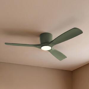 Lucande Moneno pametni LED stropni ventilator, zeleni, DC, Tuya, prigušiva, Zelena, Dnevni boravak/blagovaonica, Metal