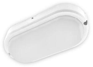 LED Stropna industrijska svjetiljka FIDO LED/12W/230V IP65