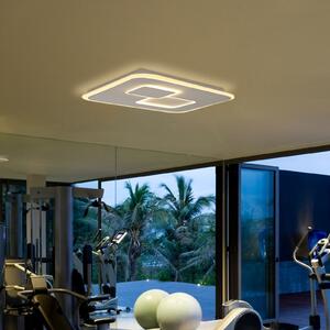 LED stropno svjetlo Quad, podesivo bijelo, prigušivo