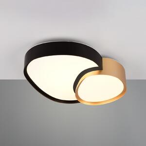Trio Lighting Stropna LED svjetiljka Rise, crno-zlatna, 43 x 36 cm, CCT, prigušiva, prigušiva, Crno, Dnevni boravak/blagovaonica, Metal