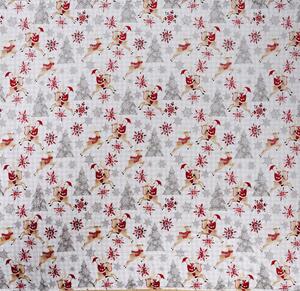 Bijela božicna deka od mikropliša NORTH POLE Dimenzije: 200 x 220 cm