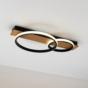 ROWENA 14W LED stropna lampa