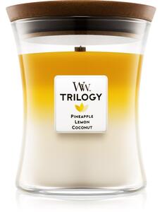 Woodwick Trilogy Fruits of Summer mirisna svijeća s drvenim fitiljem 275 g