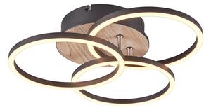 Crno-smeđa LED stropna svjetiljka 43x43 cm Circle – Trio