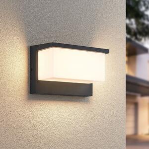 Trio Lighting Nestos LED vanjska zidna svjetiljka, IP54, Crno, Metal