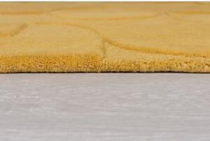 Žuti vuneni okrugli tepih ø 160 cm Gigi - Flair Rugs