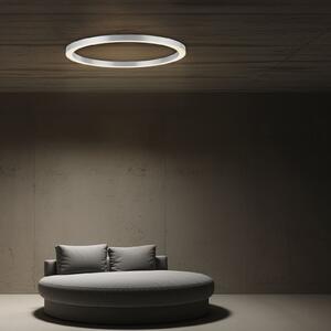 PURE LED stropna svjetiljka Lines, Ø 70 cm, srebrna, CCT, prigušiva, Sivo, Dnevni boravak/blagovaonica, Metal
