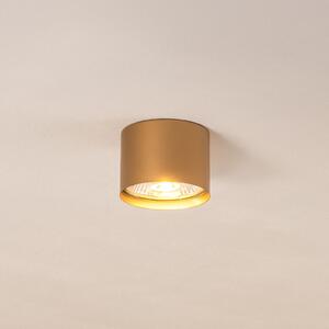 Argon Chloe fiksni stropni reflektor, zlatni, prigušiva, Zlato / mjed, Dnevni boravak/blagovaonica, Metal
