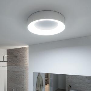Paulmann HomeSpa Casca LED stropna svjetiljka Ø40cm, bijela/aluminij, IP44, prigušiva, Metalik, kupaonica, Metal