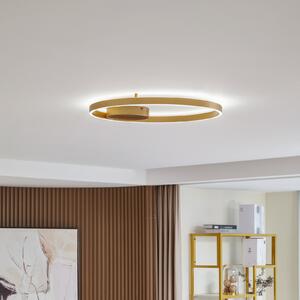 Lucande Smart LED stropna svjetiljka Moise, zlatna, CCT, Tuya, prigušiva, Zlato / mjed, Dnevni boravak/blagovaonica, Aluminij