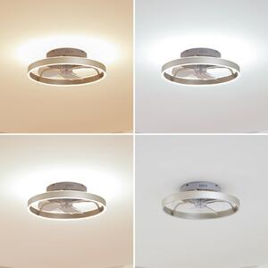 Lindby LED stropni ventilator Momitu, srebrni, tihi, Ø 50 cm, prigušiva, Metalik, Dnevni boravak/blagovaonica, Aluminij