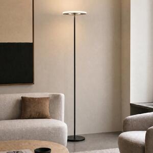 Lucande Raymond LED podna lampa, crna, CCT, prigušiva, prigušiva, Crno, Dnevni boravak/blagovaonica, Metal