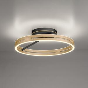 PURE LED stropna svjetiljka Loop mesing/crni metal Ø 60 cm CCT, prigušiva, Zlato / mjed, Dnevni boravak/blagovaonica, Aluminij, Pokrivač okrugli izravno