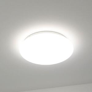 DOTLUX LED stropna svjetiljka LUNA, bijela, Ø 33 cm, PMMA, CCT IP44, Bijela, kupaonica, Plastika