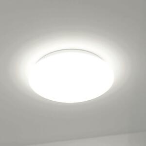 DOTLUX LED stropna svjetiljka LUNA, bijela, Ø 49 cm, 33 W, CCT IP44, Bijela, kupaonica, Plastika