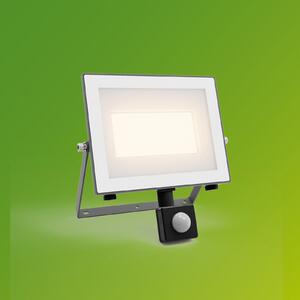 Philips LED vanjski reflektor Lois UE Sensor, 24 W, 3000 K IP65, Sivo, Aluminij