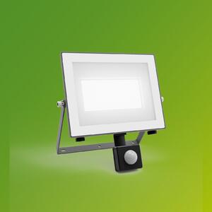 Philips LED vanjski reflektor Lois UE Sensor, 24 W, 5000 K IP65, Sivo, Aluminij