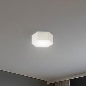 Argon LED stropna svjetiljka Libre, krem bijela, čelik, 3000 K, Bijela, Dnevni boravak/blagovaonica, Metal