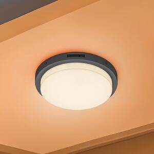 Trio Lighting LED vanjska zidna svjetiljka Bermejo, okrugla, senzor, CCT, antracit, Sivo, Metal