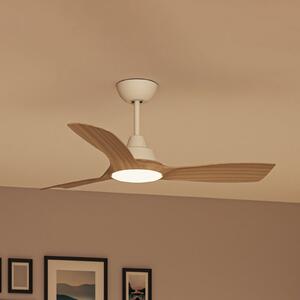 Philips Olas LED ventilator, Ø 106 cm, smeđa/bijela, CCT, prigušiva, Bijela, Dnevni boravak/blagovaonica, Plastika