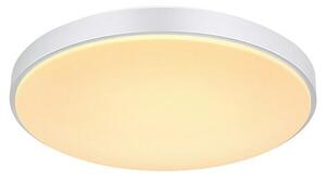 Globo Okrugla stropna LED svjetiljka Sonny (Ø x V: 41 x 6 cm, 18 W, Bijela, Srebrna)